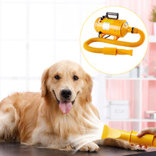 Load image into Gallery viewer, 2400w 2600w professional dog dryers Pet Hair Dryer Adjustable Cat Grooming Air Blower Adjustable temperature with 3 nozzles